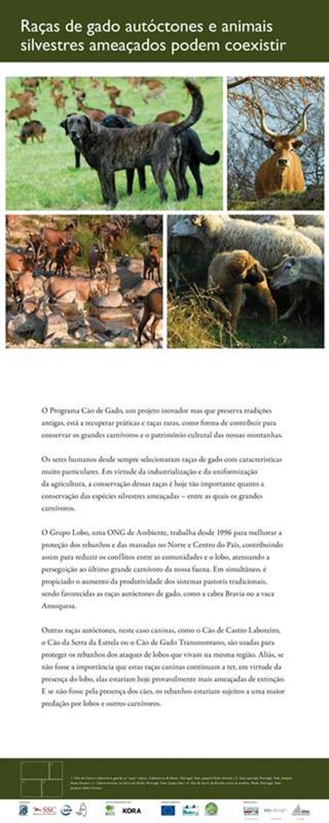18. Native livestock breeds and endangered wild animals can coexist